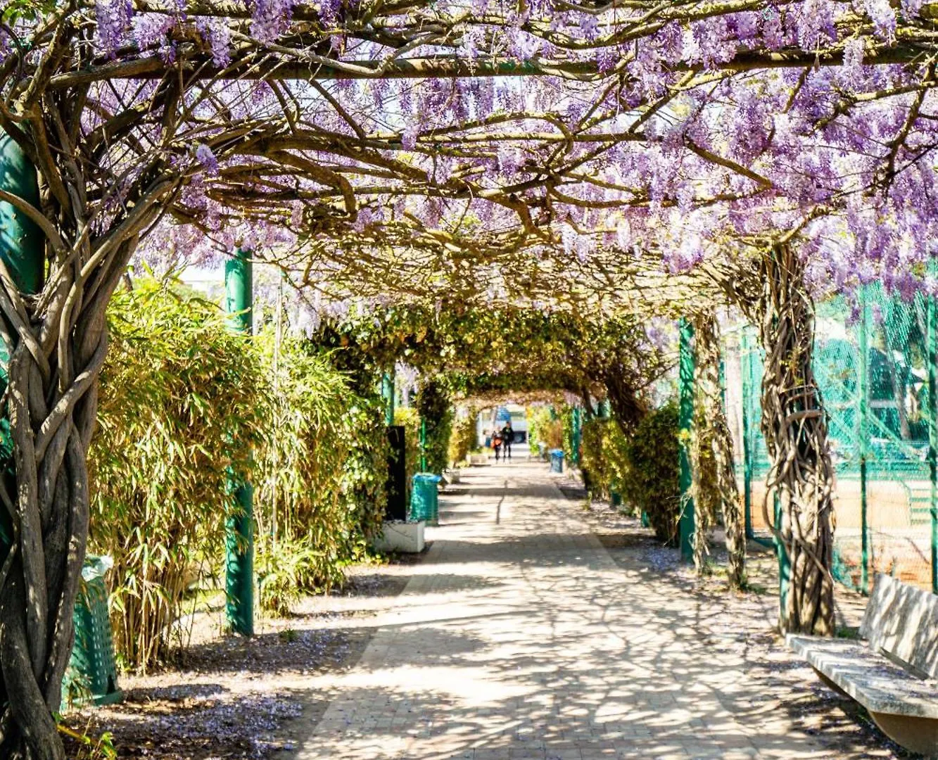 **** Hotel Villa Regina - Marepineta Resort Milano Marittima Włochy